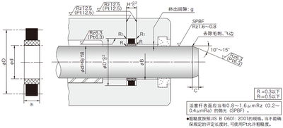 SPN型